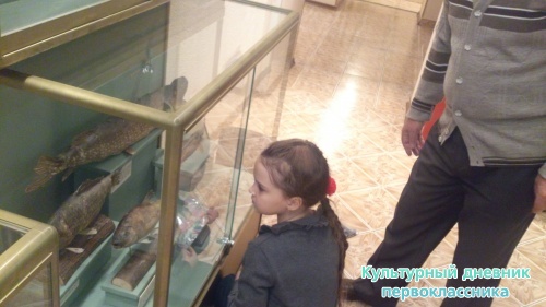 Актанышыбызның күрке - "Туган як" музеена сәяхәт!!!7357