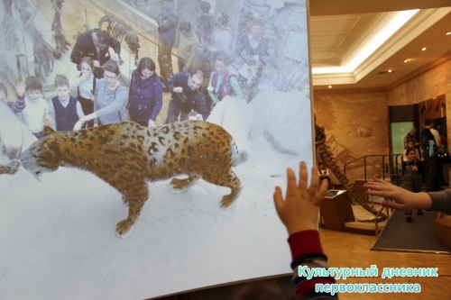 Новый экспонат «Ледниковый период»16483