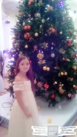IMG_20161226_120926