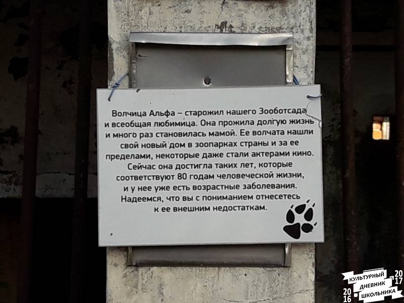 Зооботанический сад. Волчица Альфа.77133