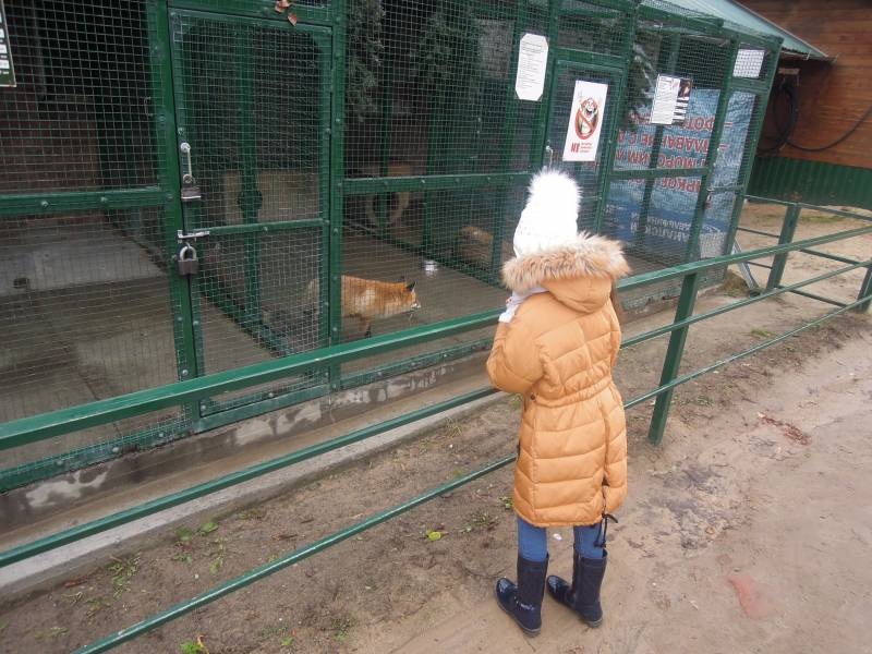 DSCN4818.JPG