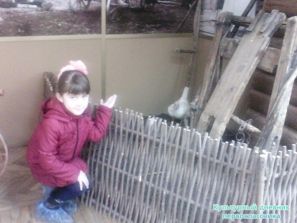 краеведческий музей27834