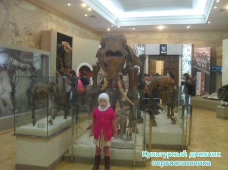 SDC18370.JPG
