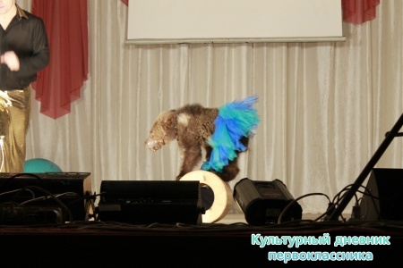 Цирк.21281