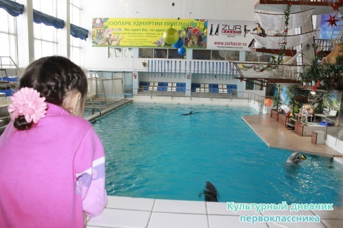 Дельфинарий17879