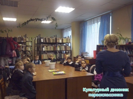 Сельская библиотека