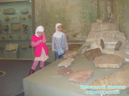 SDC18361.JPG