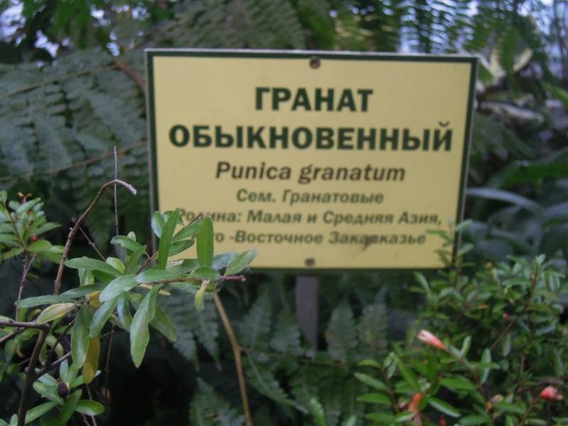 DSCN4785.JPG