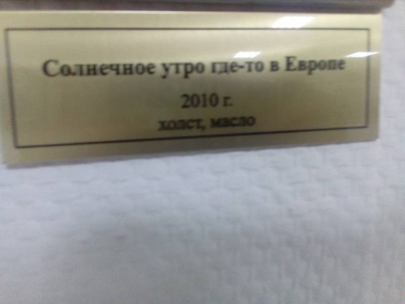 Персональная выставка Н. Сафронова в Картинной галерее г. Набережные Челны 97
