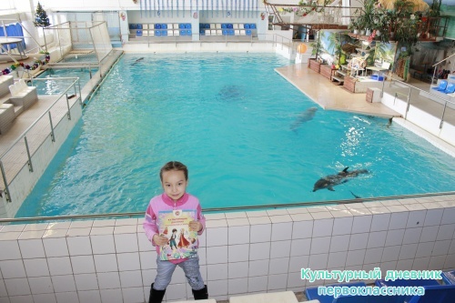 Дельфинарий17875