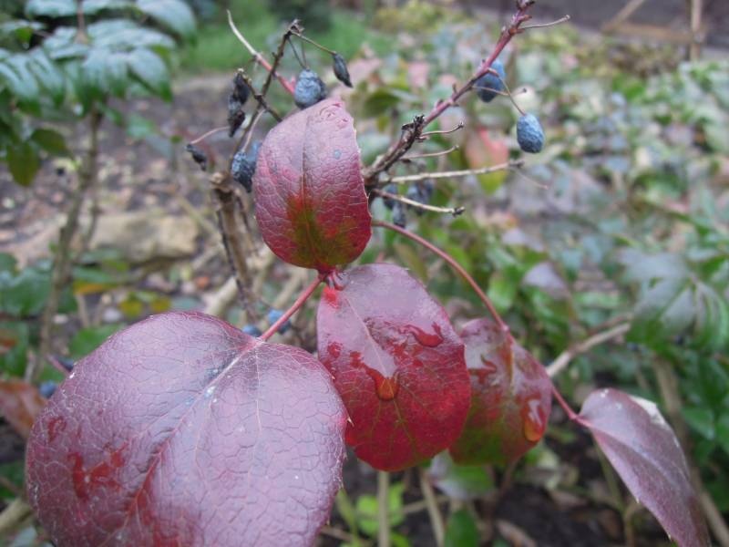 DSCN5050.JPG