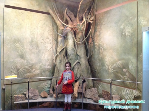 Музей естественной истории 2 этаж17397