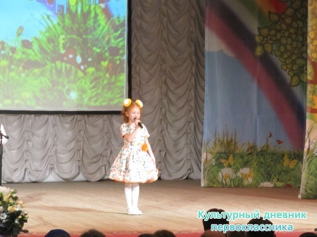 Пестречинская звездочка24376