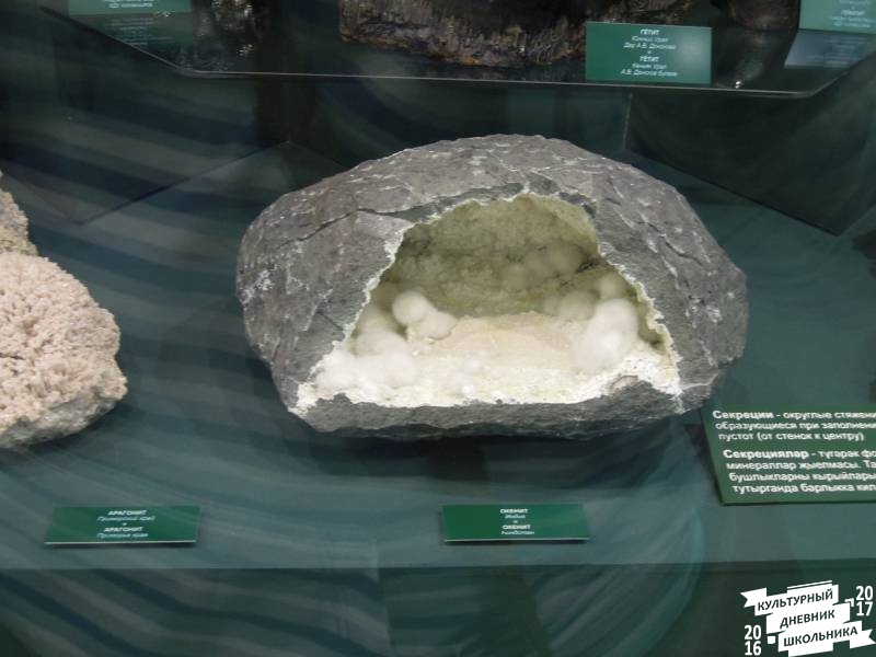 DSCN8533.JPG
