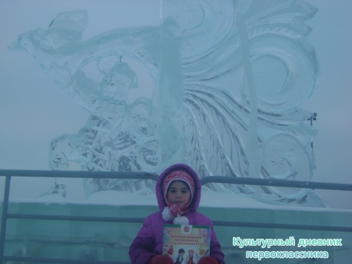 я и дневник17288