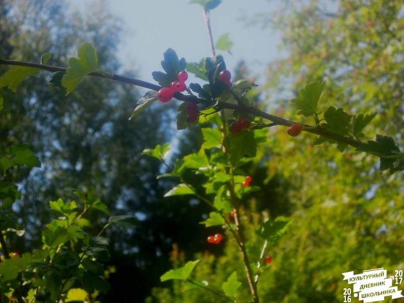 DSCN1617.JPG