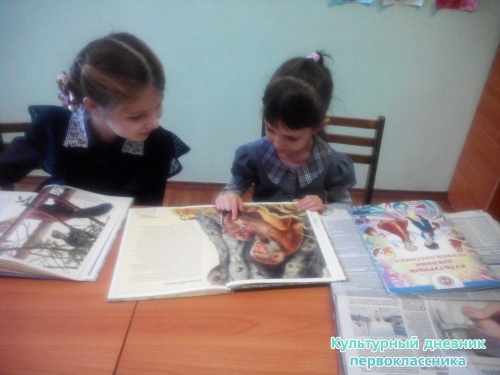 Школьная библиотека