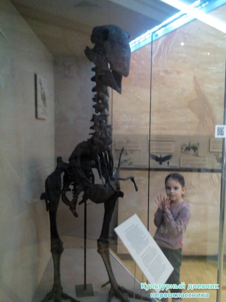 Музей естейственной истории Татарстана