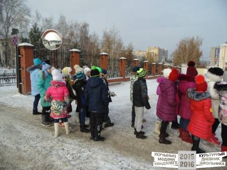 в нерпинарии41464