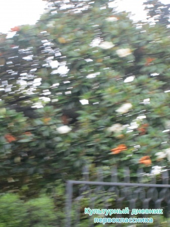 2013 022.JPG
