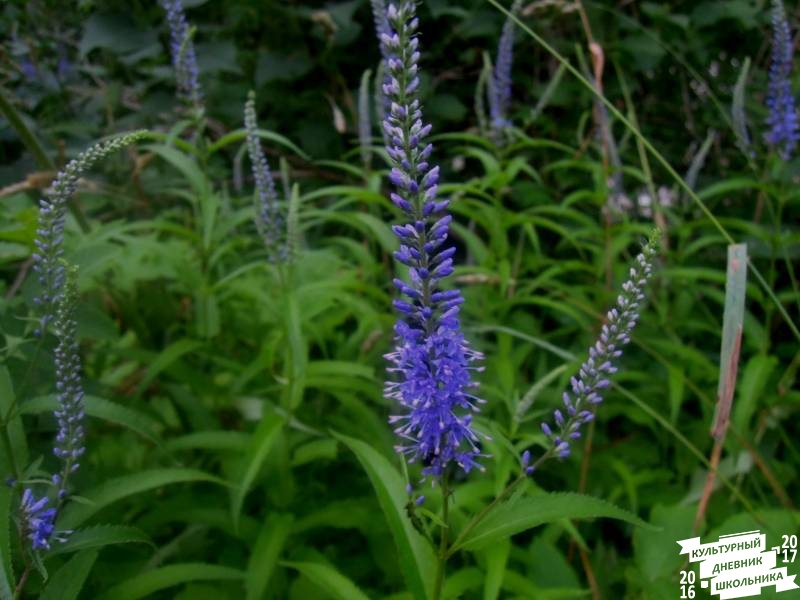 DSCN0358.JPG