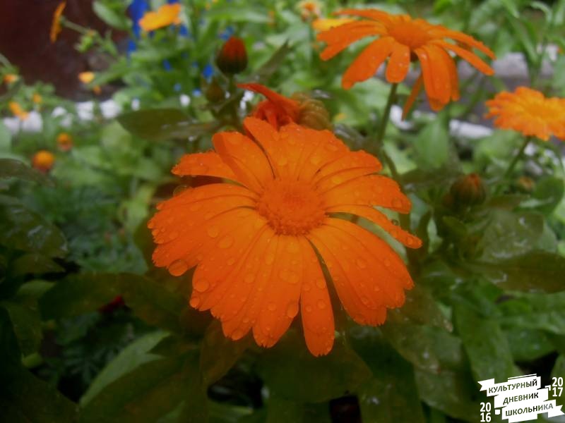 DSCN0304.JPG