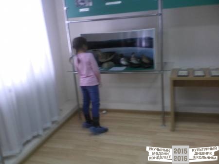 IMG_20160324_150030