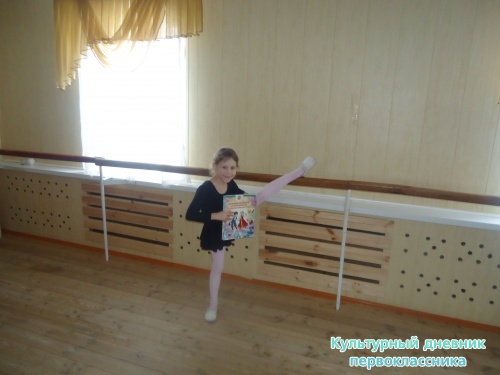 я и культурный дневник16041