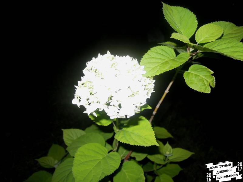 DSCN0566.JPG