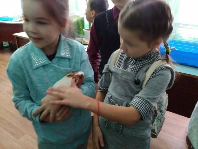 экскурсия с классом125127