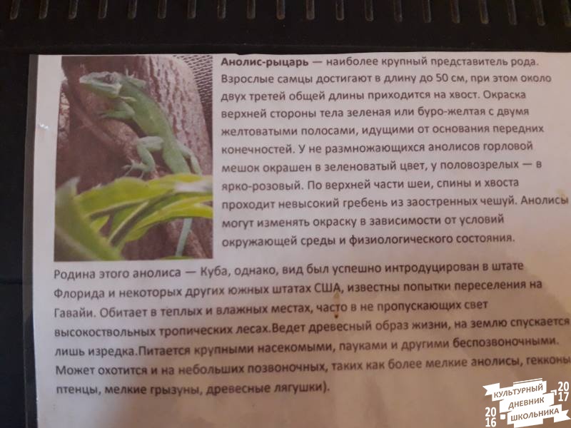 Выставка зоопарк "Живые тропики"60535