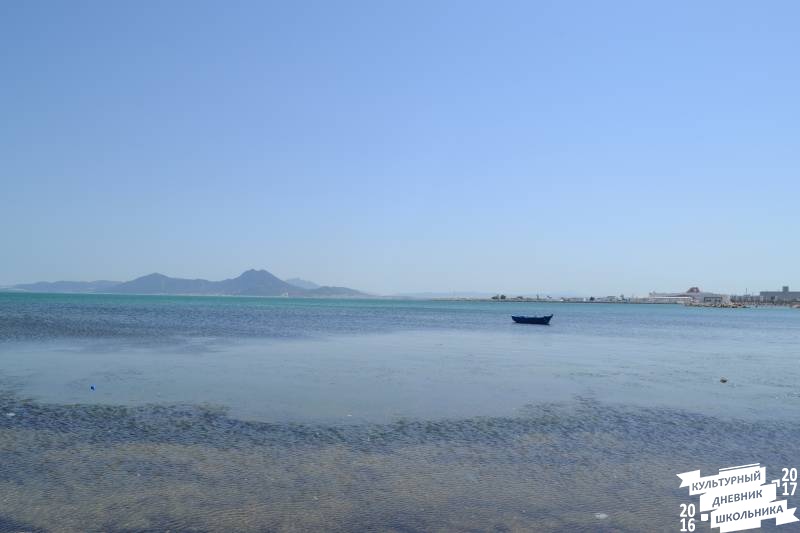 DSC_0303.JPG