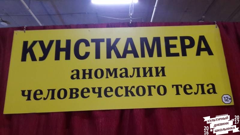 Кунсткамера63266