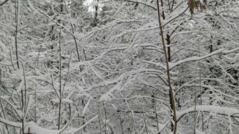 IMG_20171207_131109