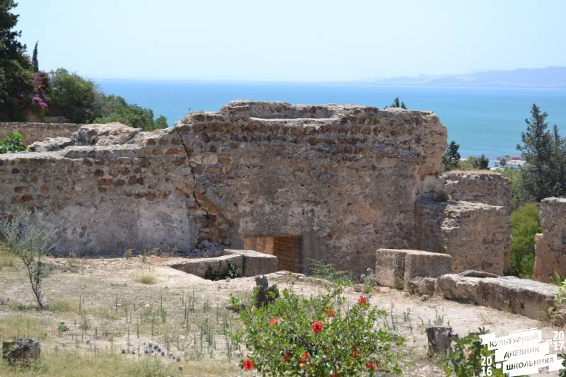 DSC_0181.JPG