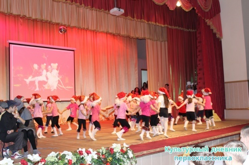 Ильфат и Ильшат с культурным дневником14319