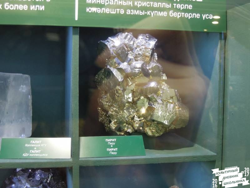 DSCN8537.JPG