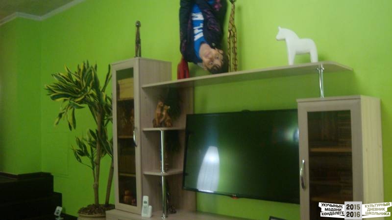 Дом вверх дном39392