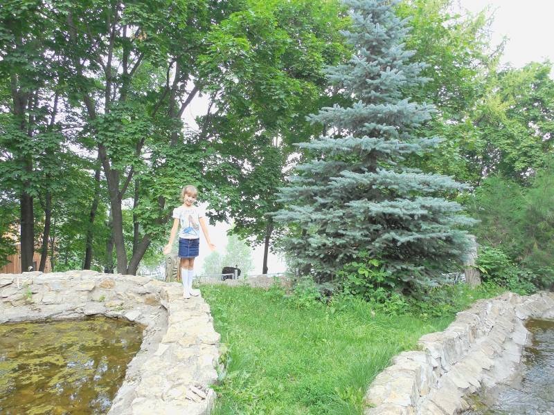 DSCN0123.JPG