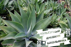 Оранжерейные растения. Зооботанический сад. Казань.78291