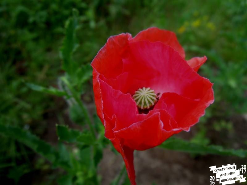 DSCN0570.JPG
