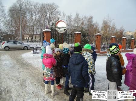 в нерпинарии41463