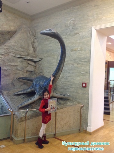 Музей естественной истории 2 этаж17403