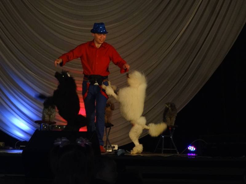 DSC08734.JPG