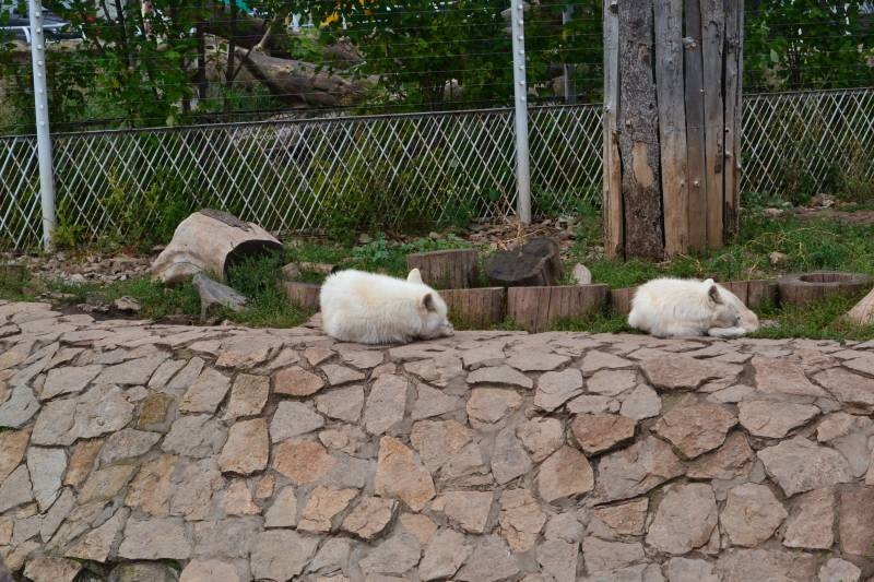 DSC_0747.JPG
