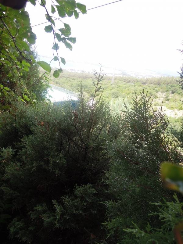 DSCN0254.JPG