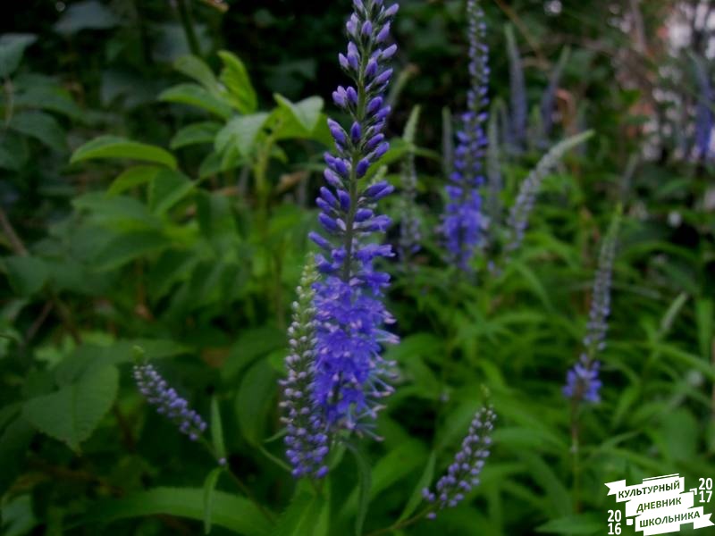 DSCN0359.JPG
