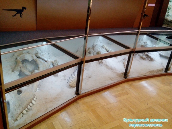 Музей естейственной истории Татарстана