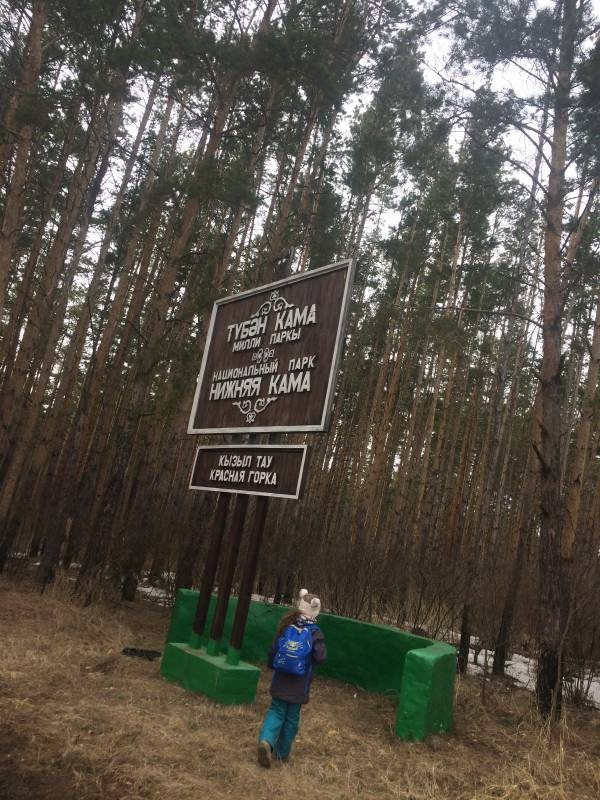 Елабуга
