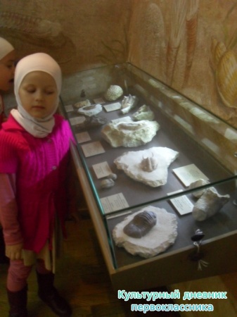 SDC18348.JPG